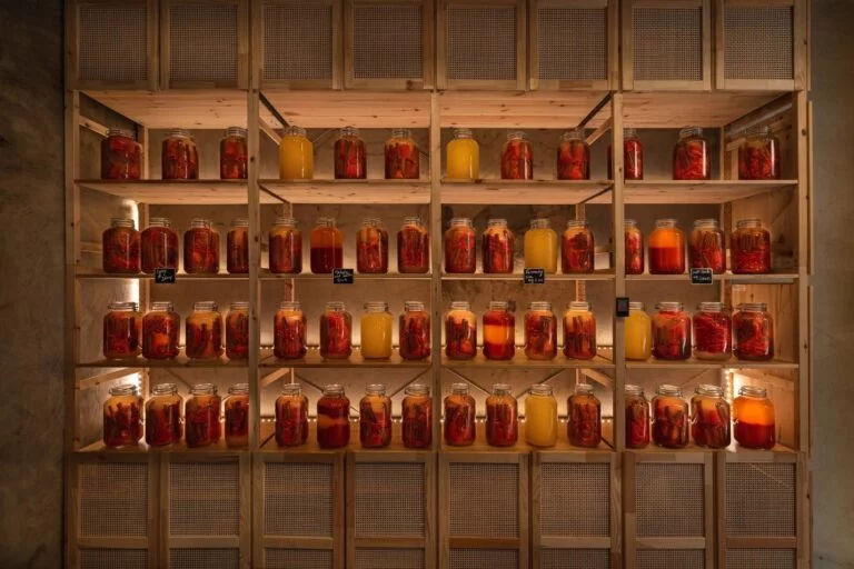 Fermentation Blogs